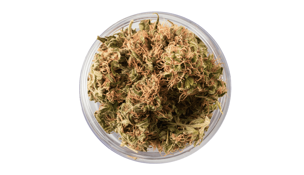 Cannabis Blüten in Dose