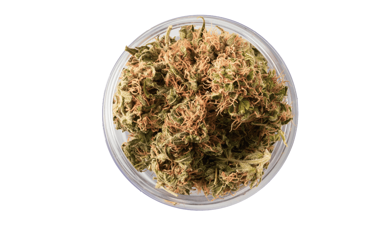 Cannabisblüten in einer Glasschale